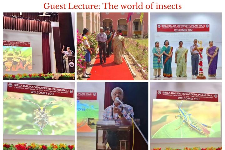 Guest Lecture The world of insects - 1