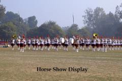 Horse Show Display